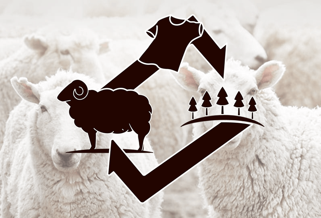 ウールで彩るサステナブルライフ：地球にも人にも優しい素材選び - C-one ONLINE STORE