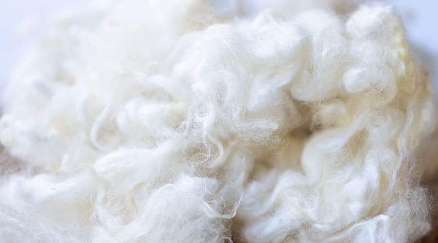 極上の肌触り。メリノウール“ランク”の世界 - C-one ONLINE STORE