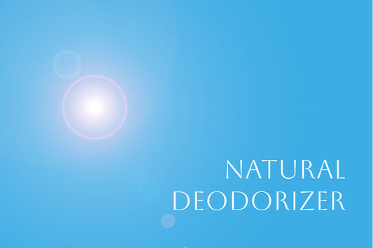 汗くささ、無縁。 --登山も街歩きも、メリノウールで清潔に。 - C-one ONLINE STORE