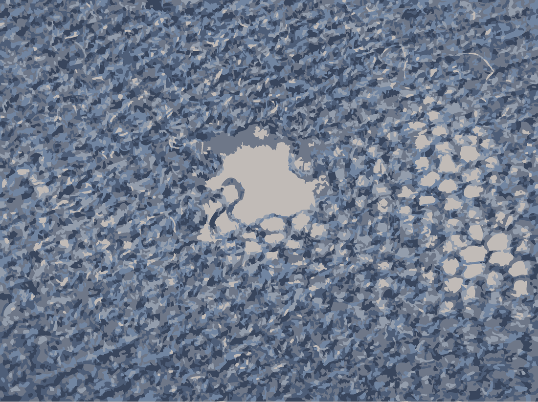 ウールの虫食い対策 - C-one ONLINE STORE