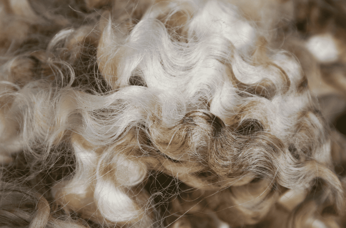 メリノウールとは - C-one ONLINE STORE