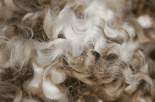 メリノウールとは - C-one ONLINE STORE